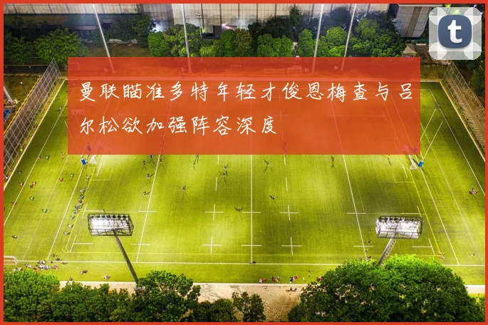 曼联瞄准多特年轻才俊恩梅查与吕尔松欲加强阵容深度