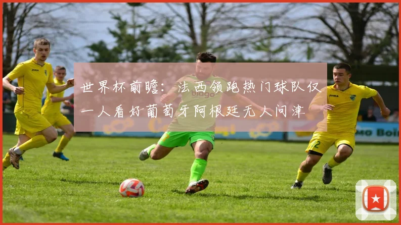 世界杯前瞻：法西领跑热门球队仅一人看好葡萄牙阿根廷无人问津